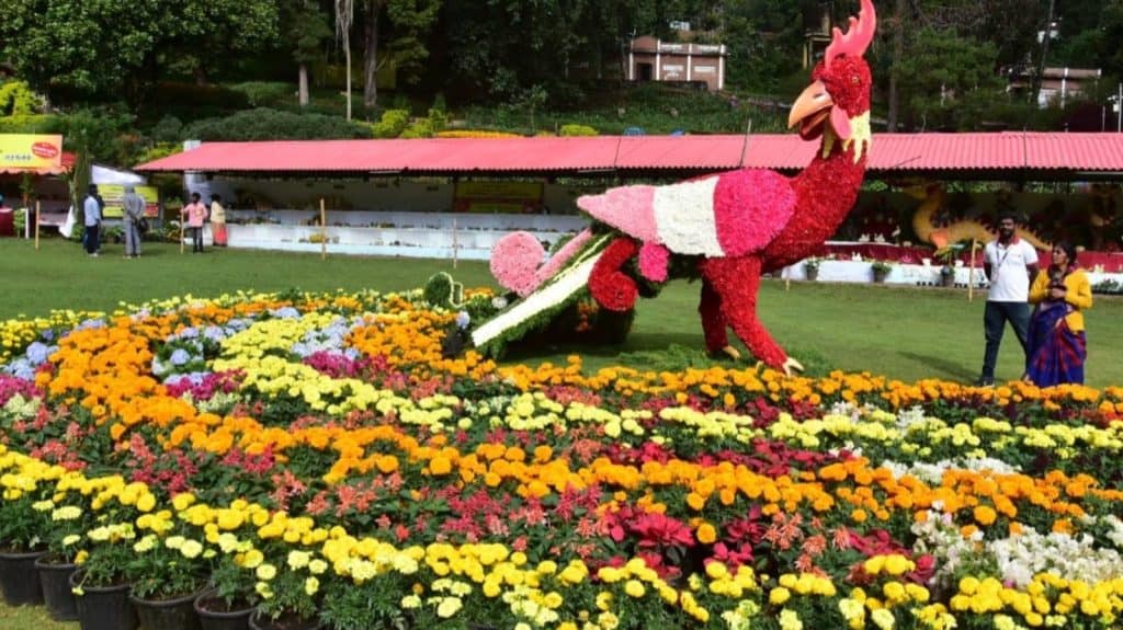Kodaikanal-flower-show.jpg