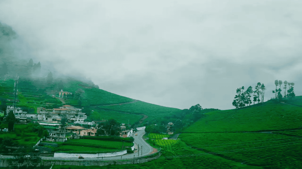 Chennai to ooty tour