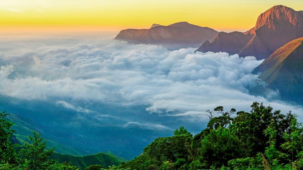 Chennai to munnar trips epass