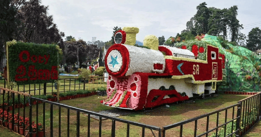 ooty flower show