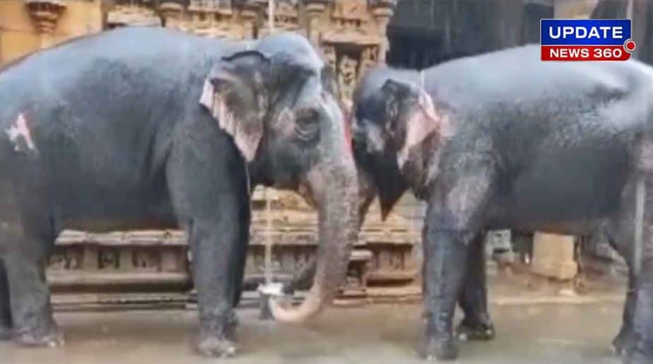 SriRangam Elephants - Updatenews360