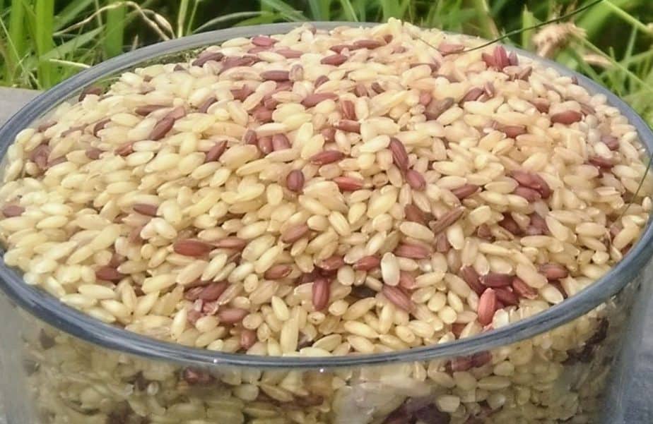 garudan samba rice benefits in tamil