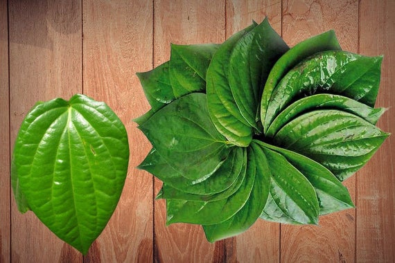 health benefits of chewing paan or betel leaves