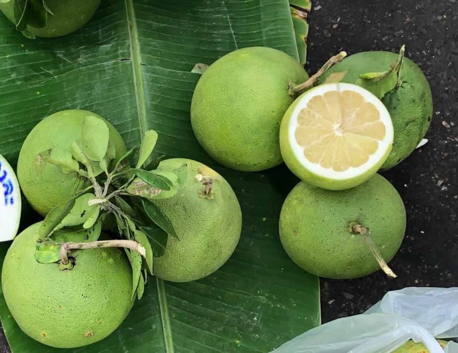 health benefits of pomleo fruit and its uses
