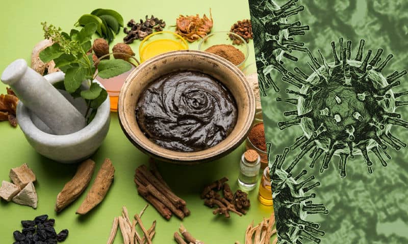 Immunity booster: 5 herbs to add to your drink to stay fit and healthy
