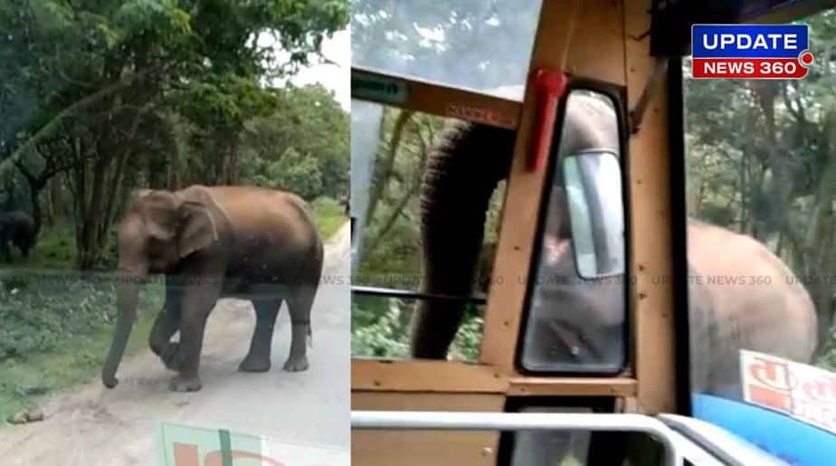 Elephant Touch Bus -Updatenews360