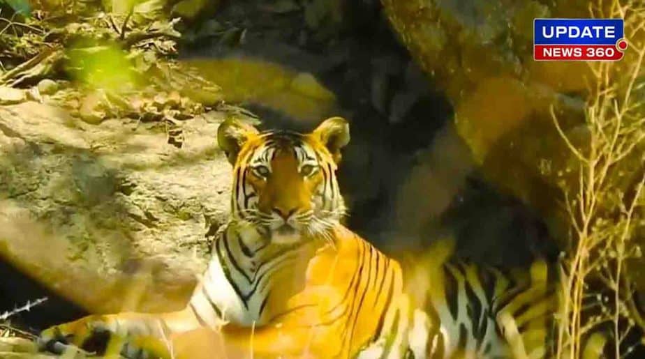 Sathy Tiger Reserve Award - Updatenews360