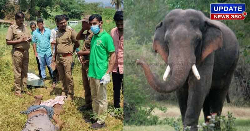 Elephant Attack Dead -Updatenews360