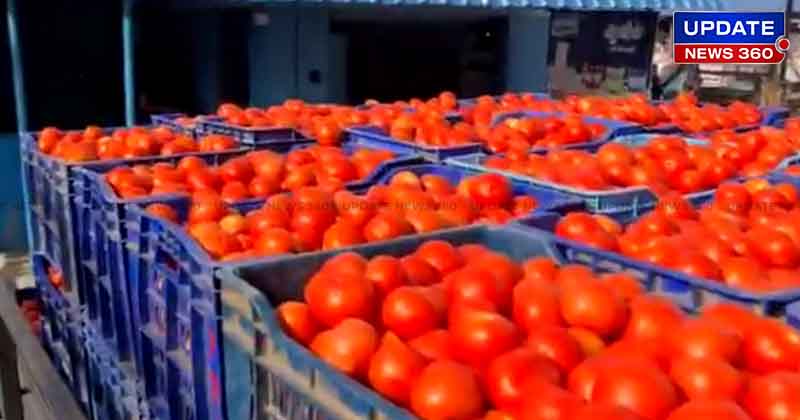 Tomato Price Hike - Updatenews360