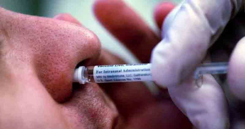 Nose Vaccine - Updatenews360