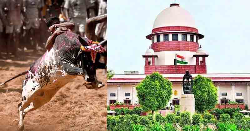 Jallikattu - Updatenews360