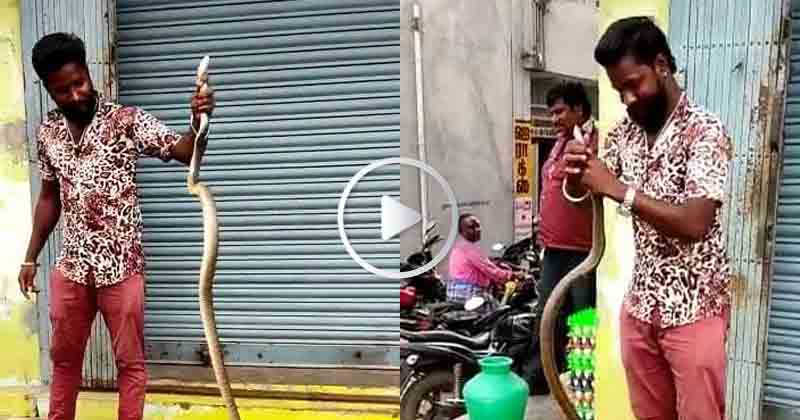 10 Feet Snake - Updatenews360