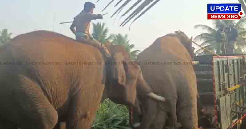 KAruppan Elephant - Updatenews360