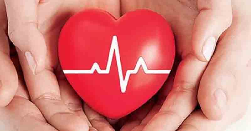 Heart Attack - Updatenews360