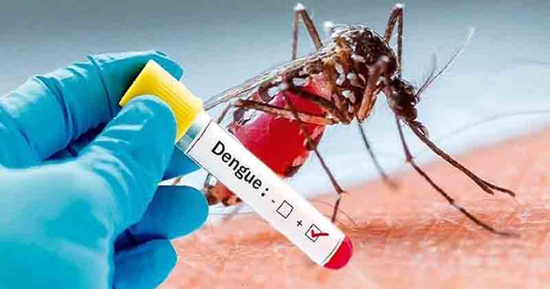 Dengue - Updatenews360
