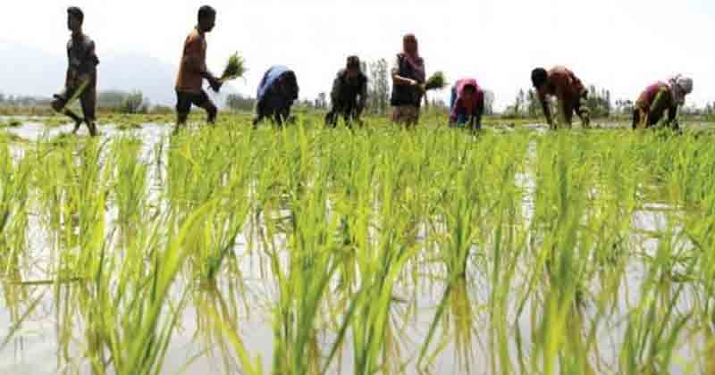 Kharif - Updatenews360