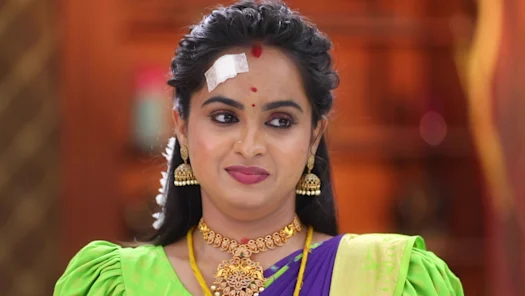 sakthivel serial