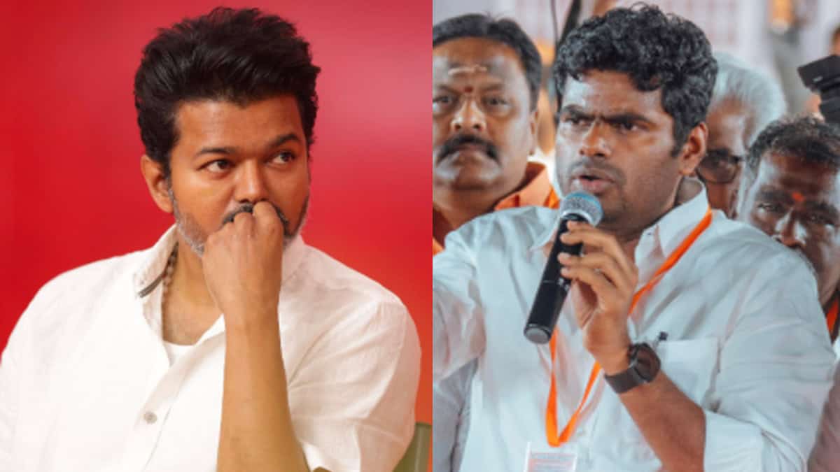 Annamalai about TVK vijay