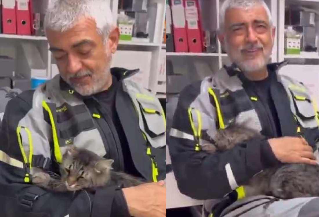 Ajith kumar cat viral video