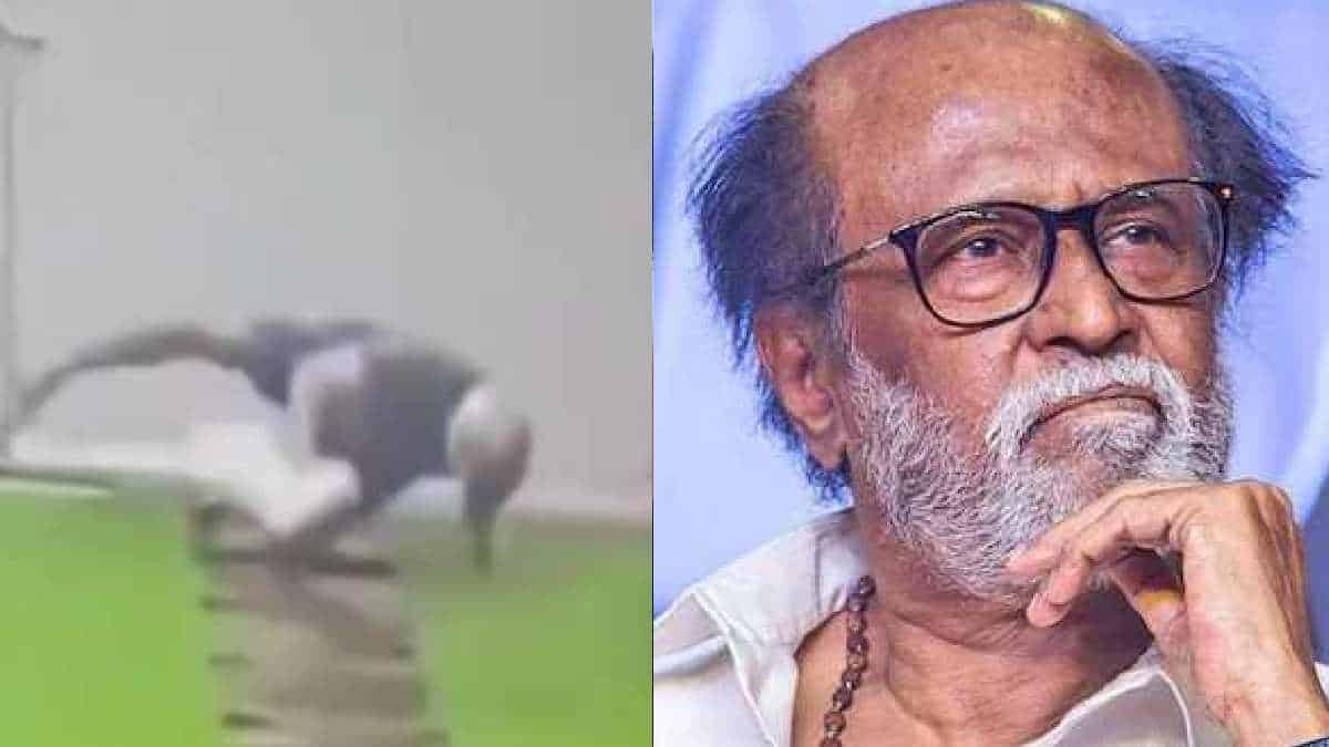 Fact check on Rajinikanth slip and fall video viral on internet