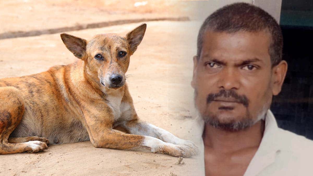 Negligence after being bitten by a stray dog.. Man dies in 16 days!
