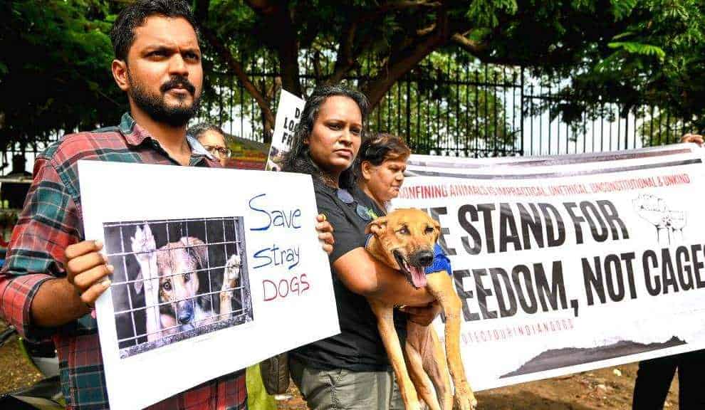 Kamal haasan statement about stray dogs viral on internet